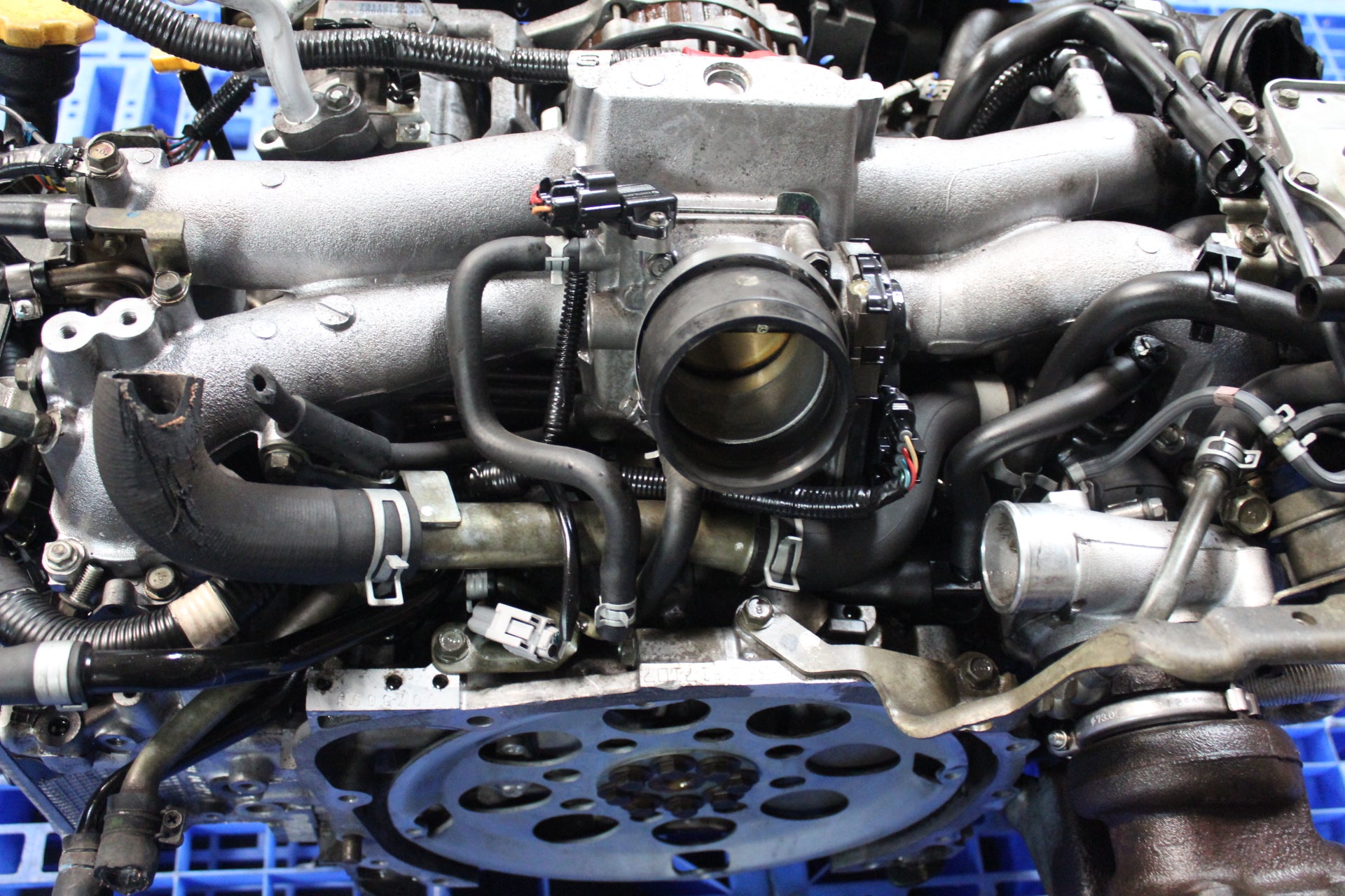 02-05 Subaru WRX Turbo Replacement Engine - EJ205 AVCS