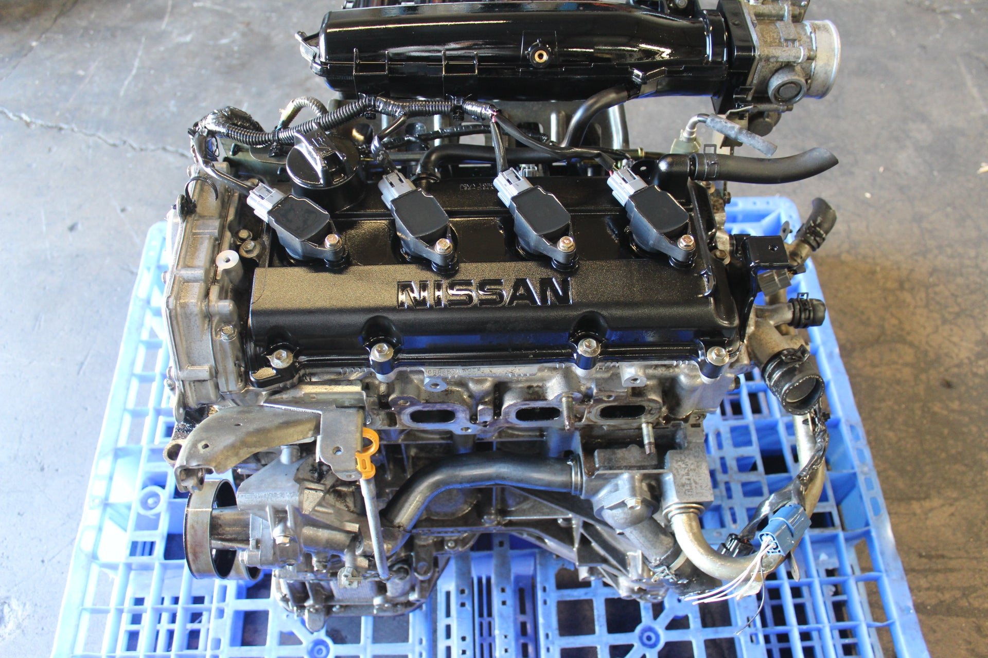 Nissan (02-06 SENTRA) QR25DE Engine